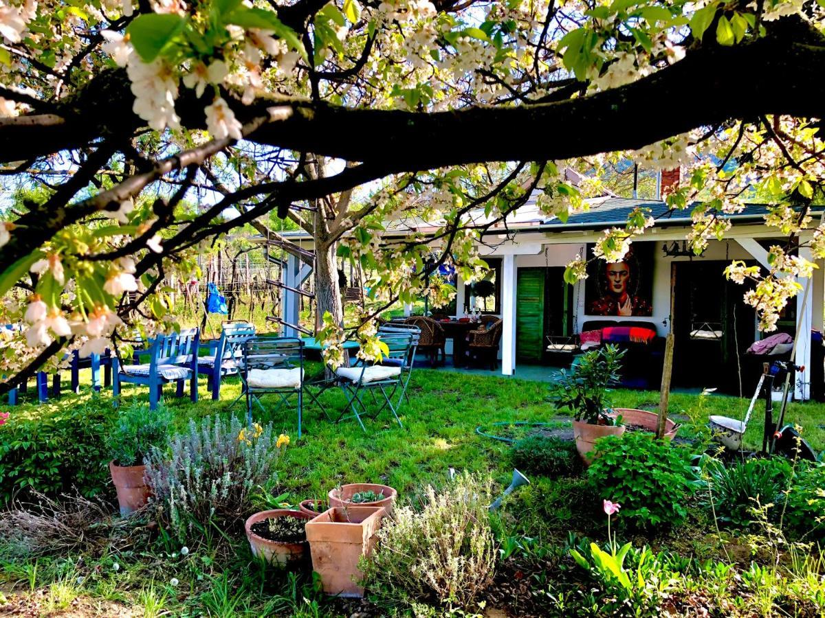 Bohemian Eco Lodge At Lake Balaton Kisapati Exteriör bild
