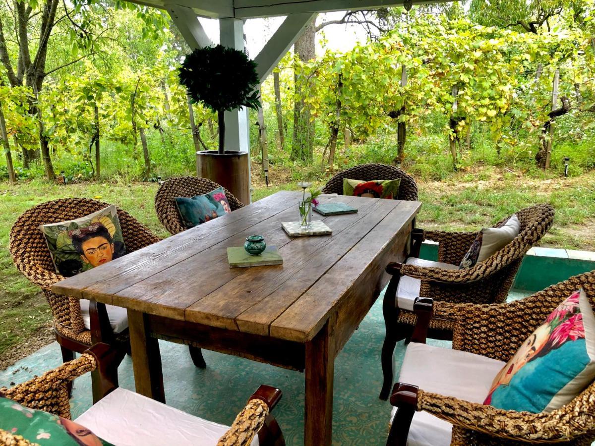 Bohemian Eco Lodge At Lake Balaton Kisapati Exteriör bild