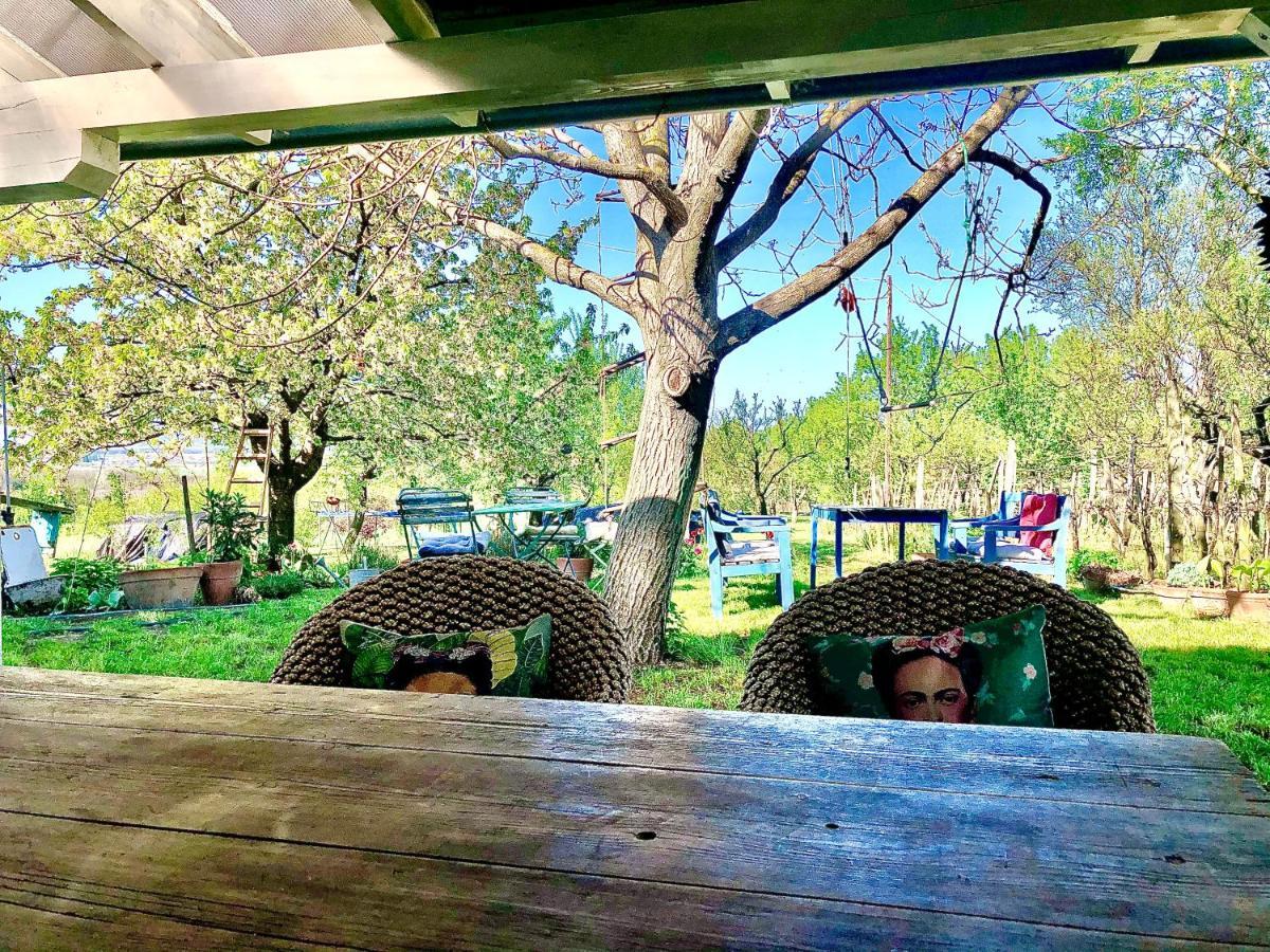 Bohemian Eco Lodge At Lake Balaton Kisapati Exteriör bild